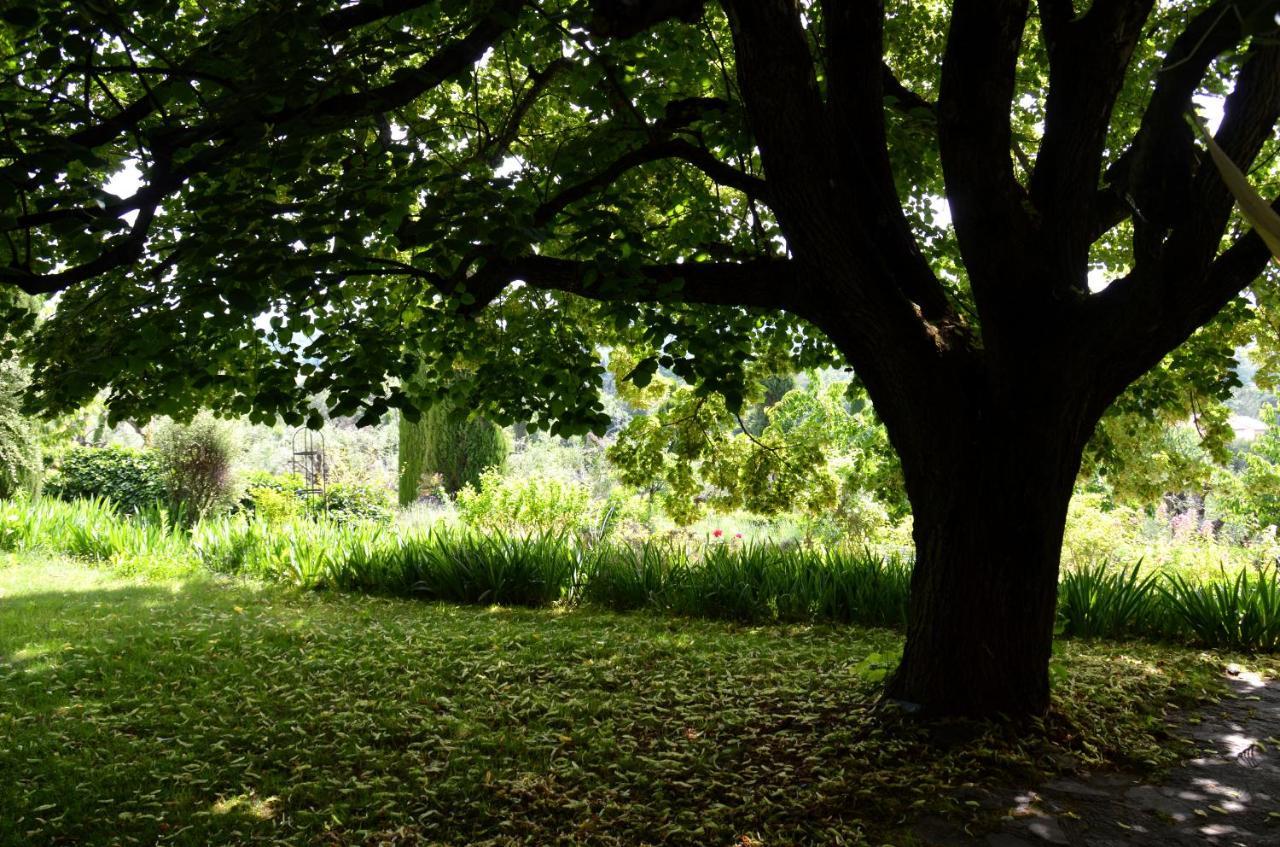 Saint-Cézaire-sur-Siagne Domaine Des Tilleuls D'Or المظهر الخارجي الصورة