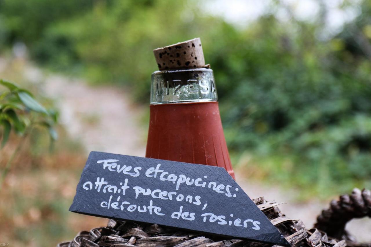 Saint-Cézaire-sur-Siagne Domaine Des Tilleuls D'Or المظهر الخارجي الصورة